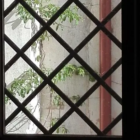 Casa A Corte Gallipolina